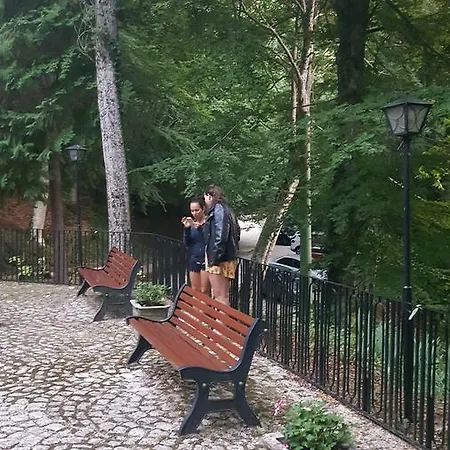 Mariani International Abruzzo