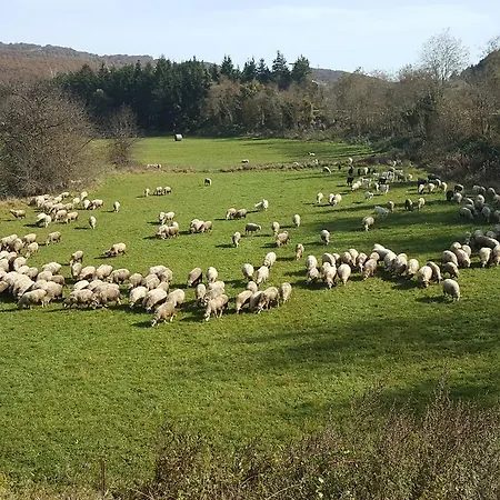 Mariani International Abruzzo * Roccaraso